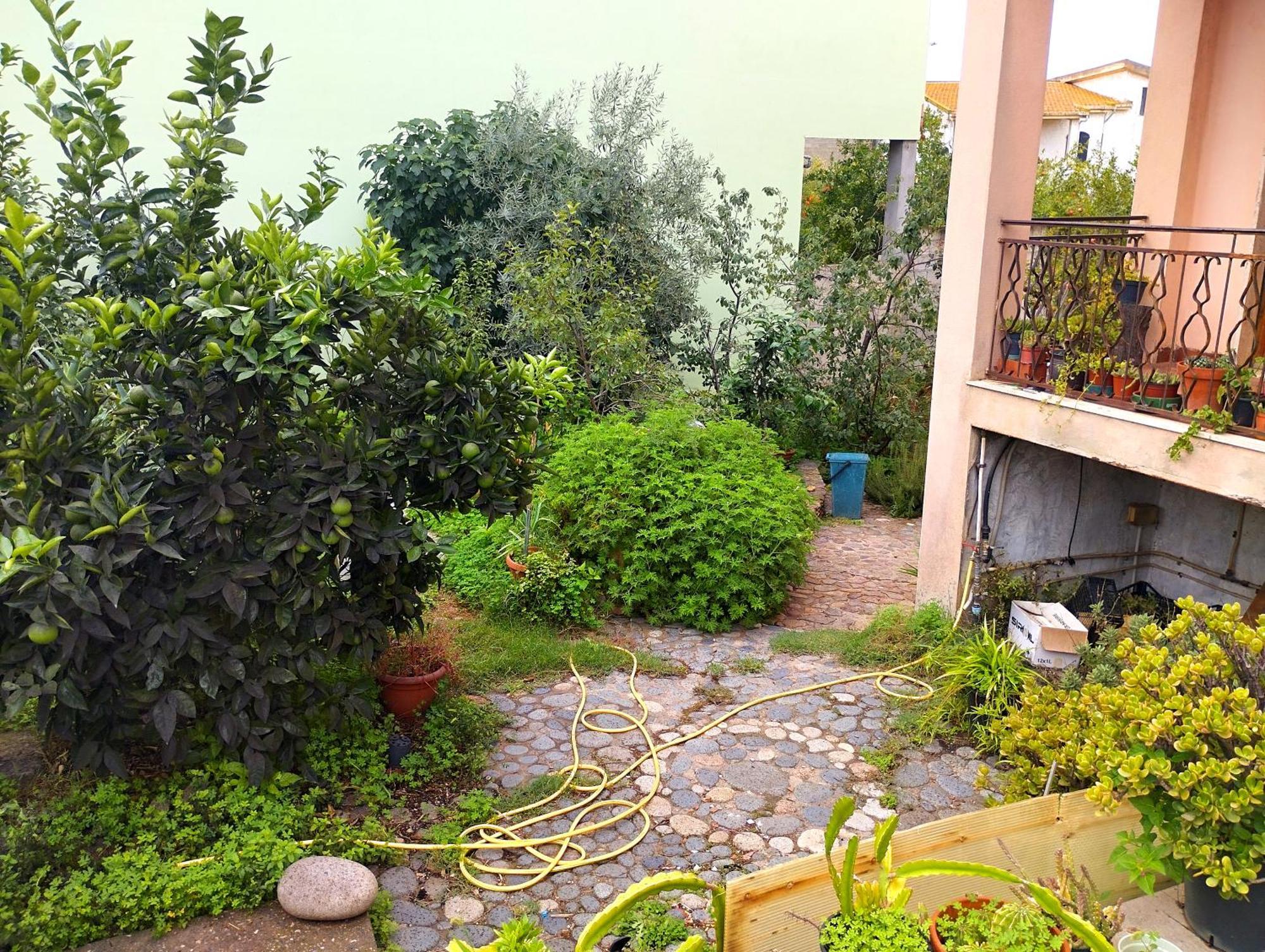 Villa Petrarca Siliqua Ngoại thất bức ảnh